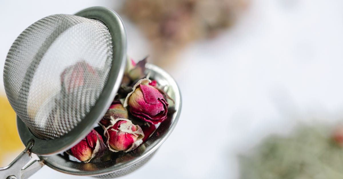 découvrez l'art du brassage maison avec nos conseils et astuces pratiques. apprenez à créer vos propres bières artisanales et explorez les différentes techniques pour personnaliser vos recettes. transformez votre passion en une expérience unique dès aujourd'hui !