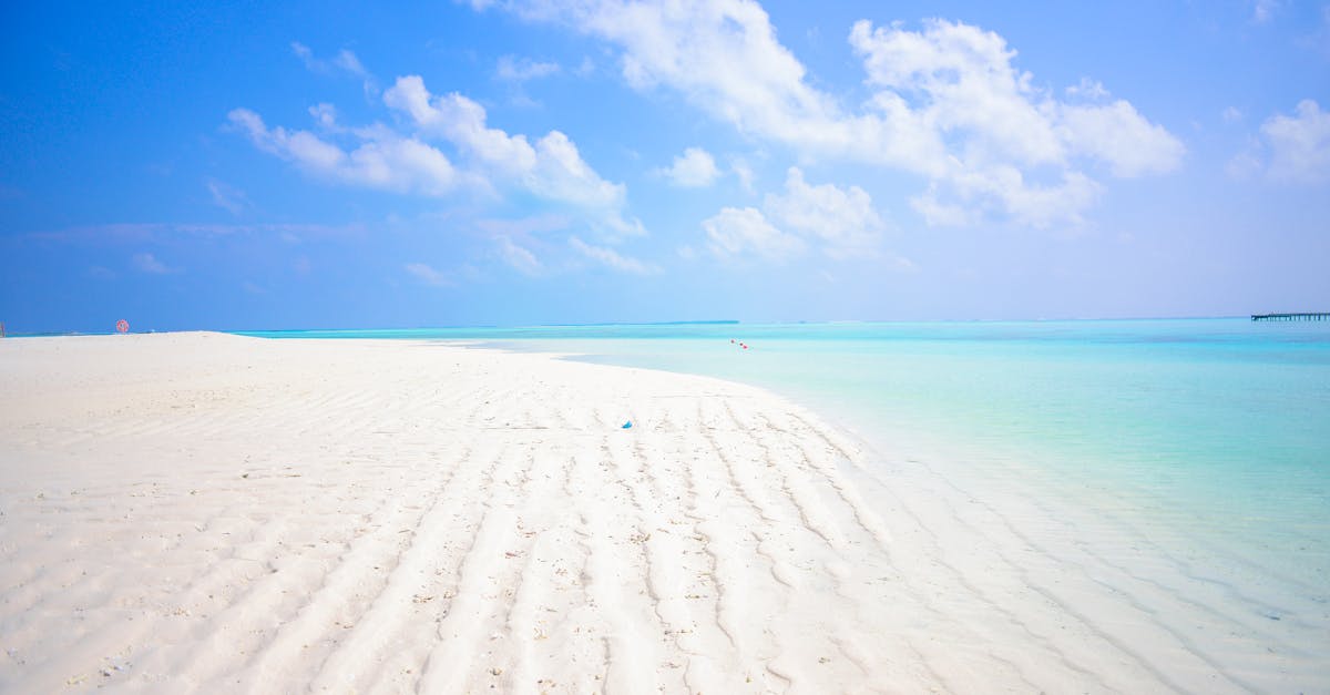 découvrez 'paradise', un lieu enchanteur où la beauté naturelle et le bien-être se rencontrent. évadez-vous dans un havre de paix, idéal pour la détente et l'exploration. profitez d'expériences uniques qui éveilleront vos sens et redéfiniront votre idée du bonheur.