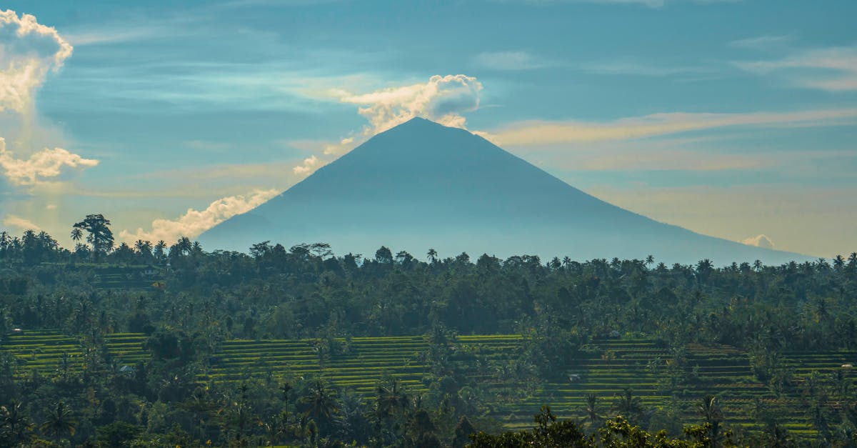 découvrez bali, l'île des dieux : plages paradisiaques, rizières, temples majestueux et culture authentique pour un voyage inoubliable en indonésie.